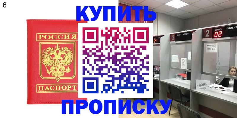 прописка иностранных граждан в Бийске